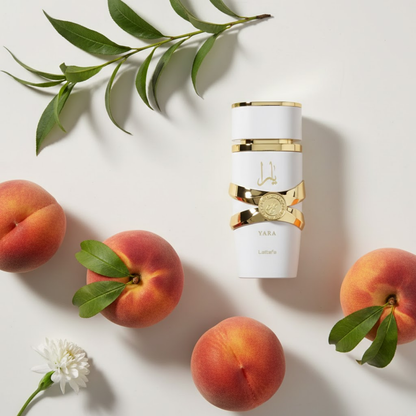 Lattafa Yara Moi  Pure Concentrated Perfume Oil 0.67 Oz Women