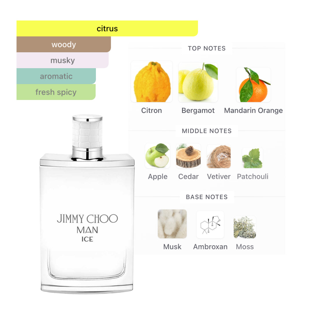Jimmy Choo Man Ice 3.4 Oz Edt Men